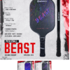 vợt pickelball beast