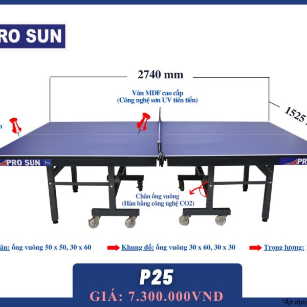 Bàn bóng bàn Bình Minh PRO SUN P25